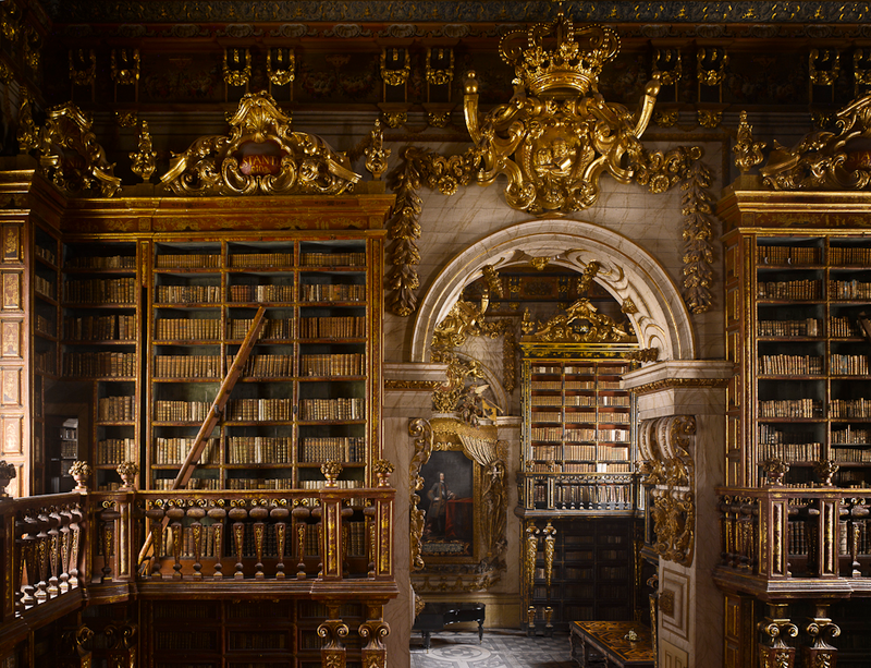 Illustration for article titled These are the most beautiful libraries we've ever seen